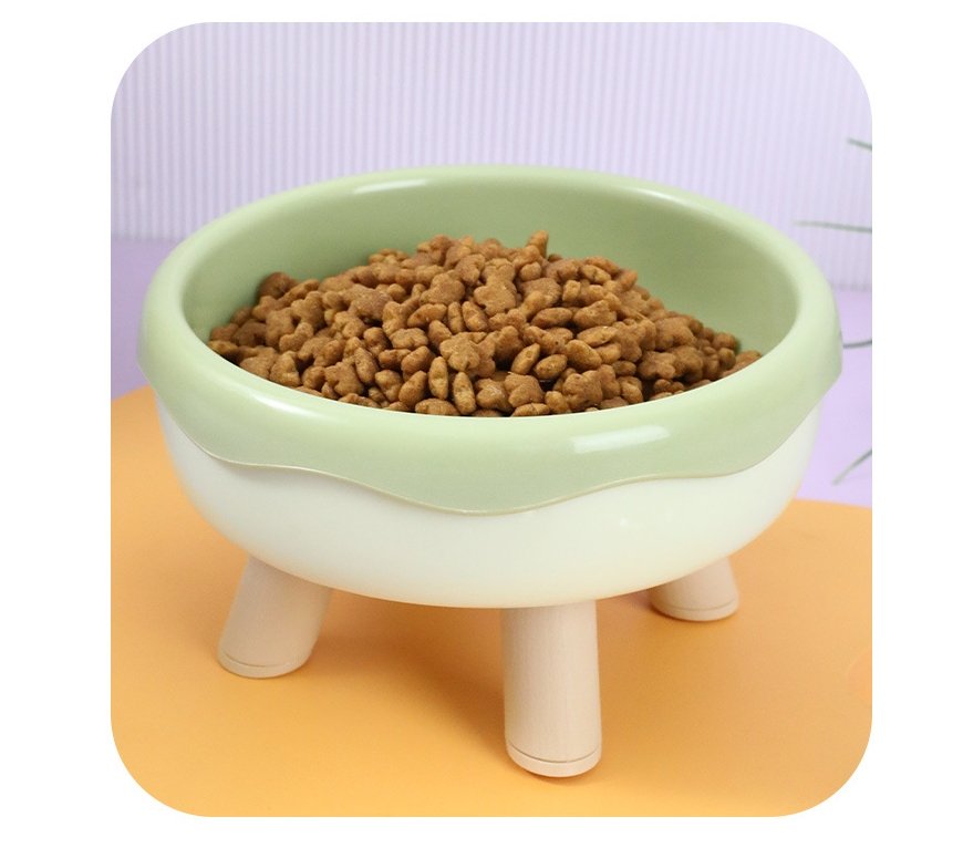 Donut Shaped 4 Corner Anti Neck Spine Cat Bowls 13 Cat Bowls Caso Machinery 9 870x766