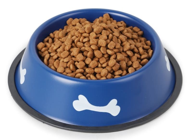 Dog Feeding Bowls Caso Machinery 6 790x580