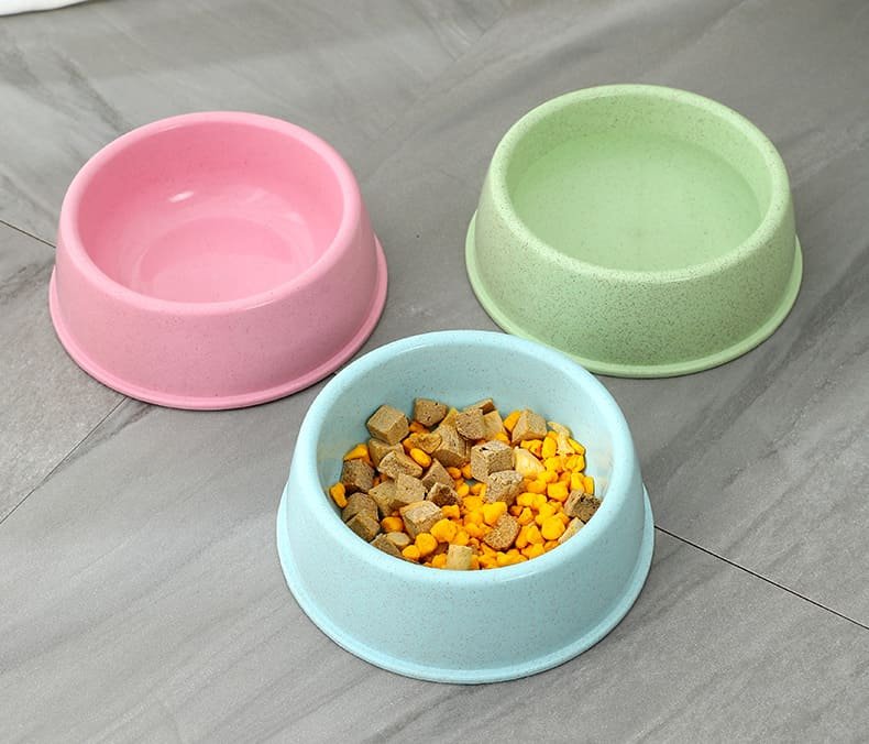 Color Set Small Animals Plastic Dog Food Dishes 12 Dog Food Dishes Caso Machinery 1 790x676