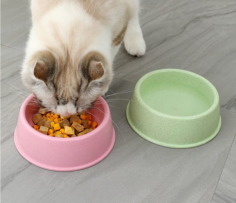 Color Set Small Animals Plastic Dog Food Dishes 10 Dog Food Dishes Caso Machinery 1 790x680