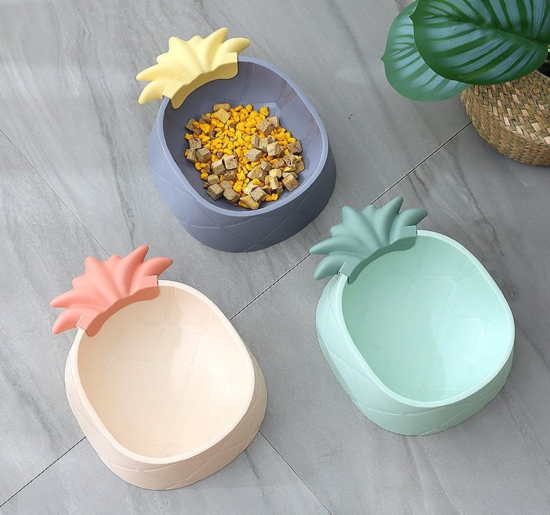 Dogs Feeding Bowl Caso Machinery 1 790x740