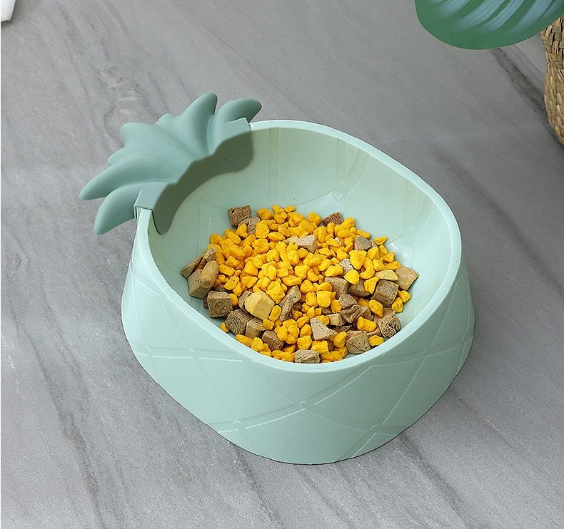 Dogs Feeding Bowl Caso Machinery 3 790x742