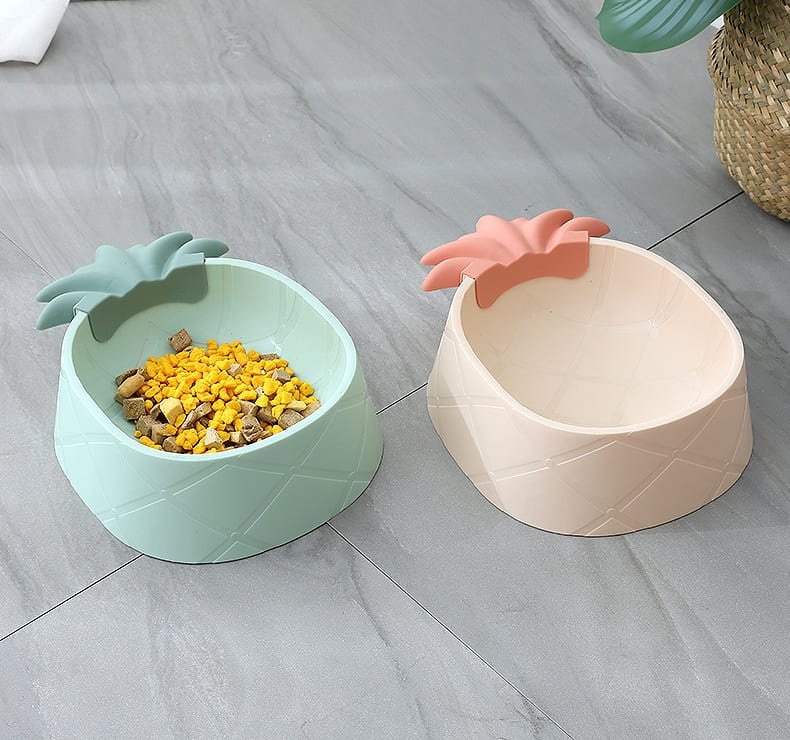 Dogs Feeding Bowl Caso Machinery 5 790x740