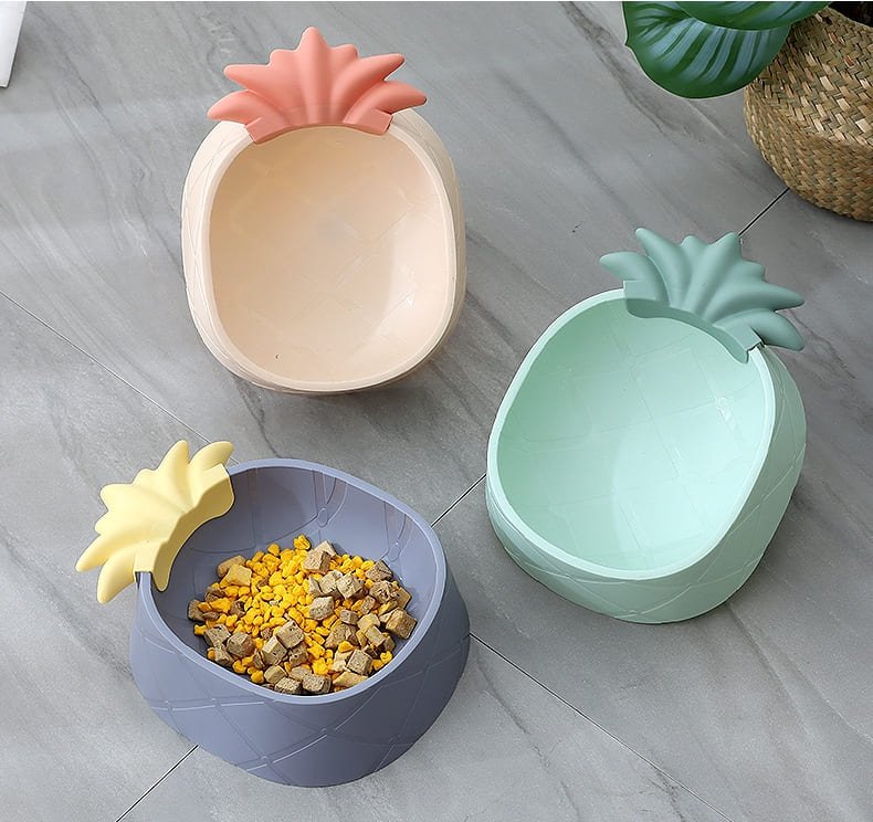 Dogs Feeding Bowl Caso Machinery 7 790x744