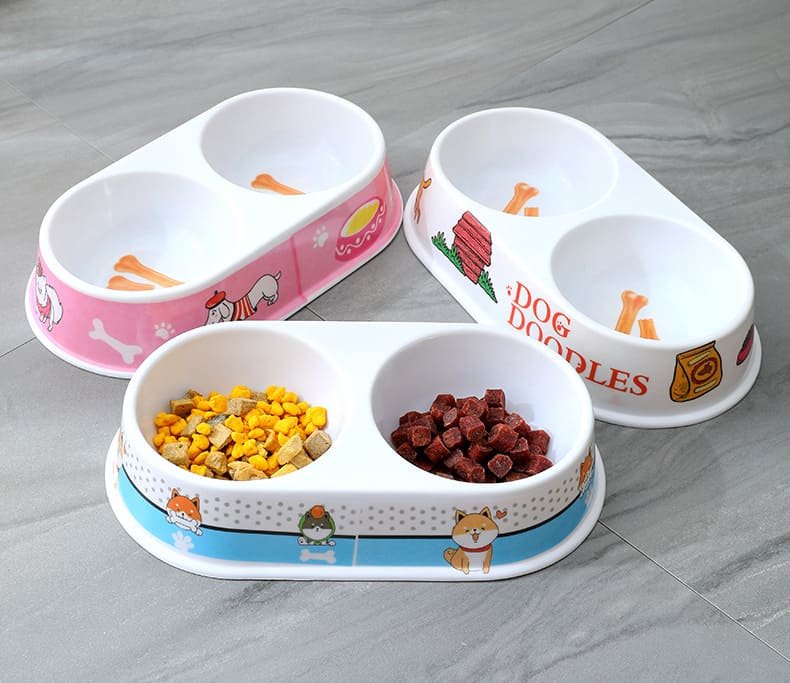 Kitten Feeding Pet Bowl Caso Machinery 11 790x683