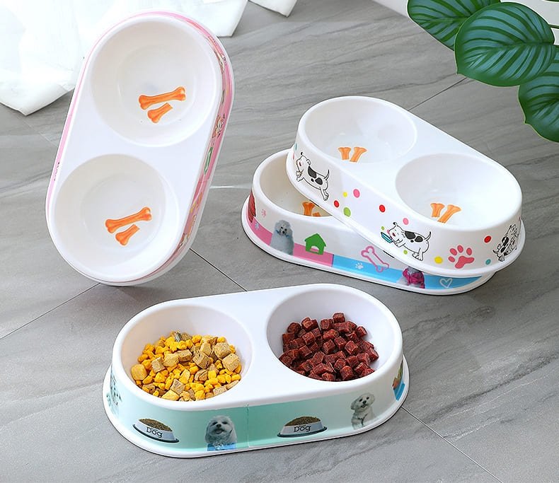 Kitten Feeding Pet Bowl Caso Machinery 1 790x683