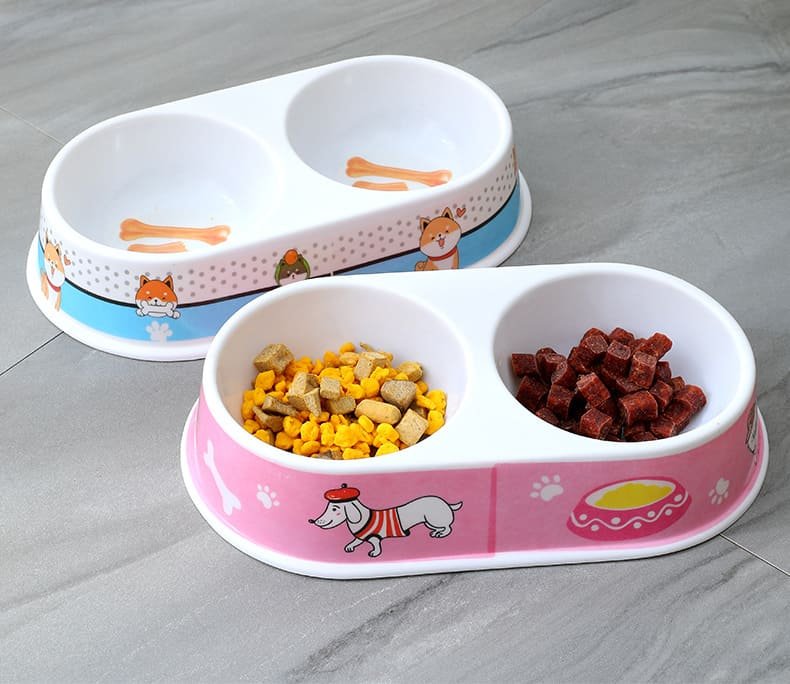 Kitten Feeding Pet Bowl Caso Machinery 1 790x684