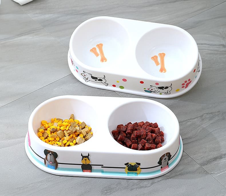 Kitten Feeding Pet Bowl Caso Machinery 41 790x684