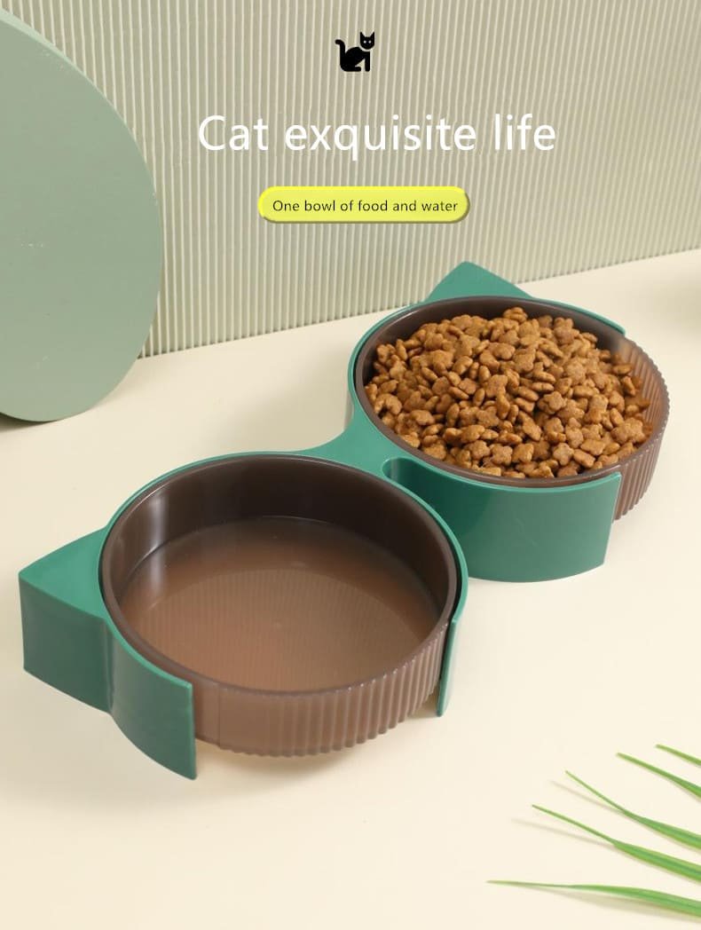 Kittens Food Bowl Caso Machinery 1 790x1048