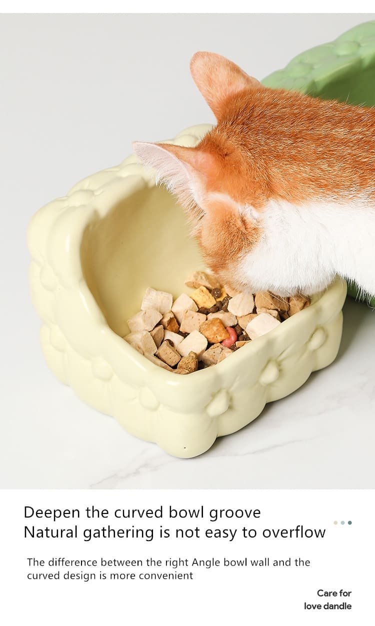 Ceramic Elevated Large Caliber Cat Feed Bowls 10 Cat Feed Bowls Caso Machinery 3 790x1252