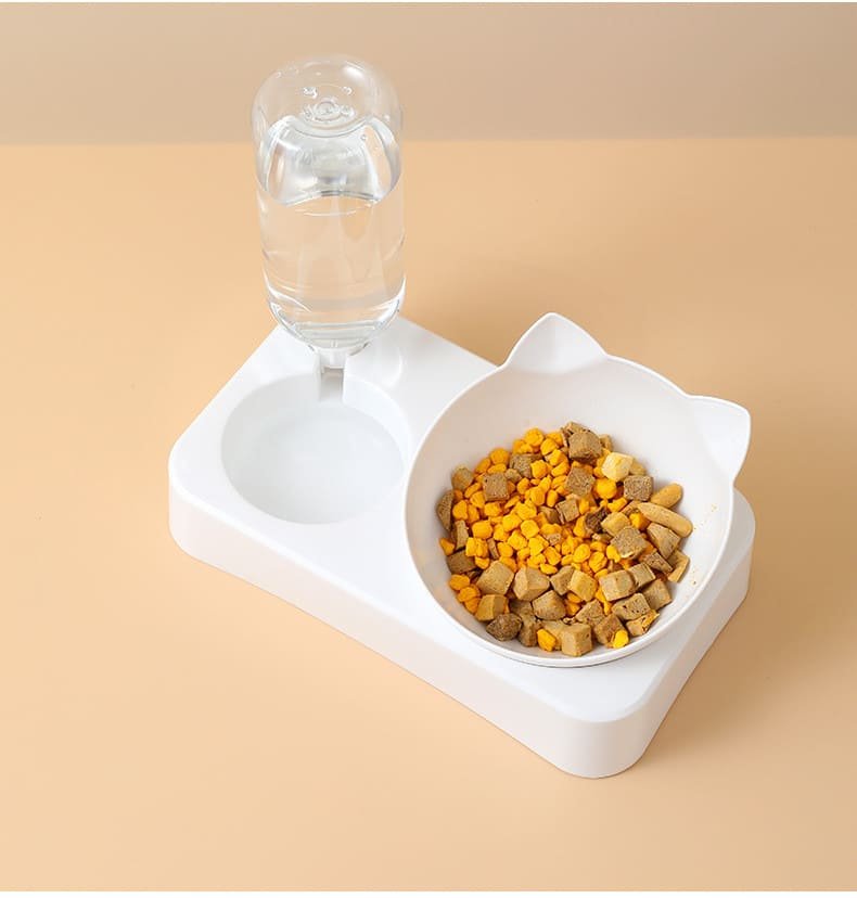 Kitten Auto Food Drinking Bowl Caso Machinery 15 790x828