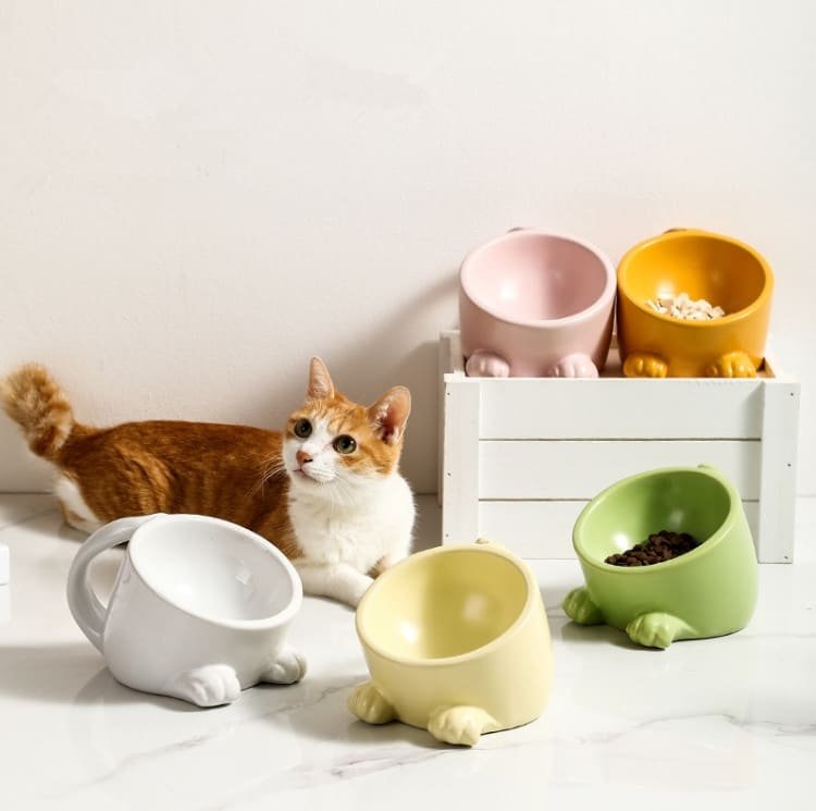 Pet Feeding Dish Caso Machinery 6 750x745