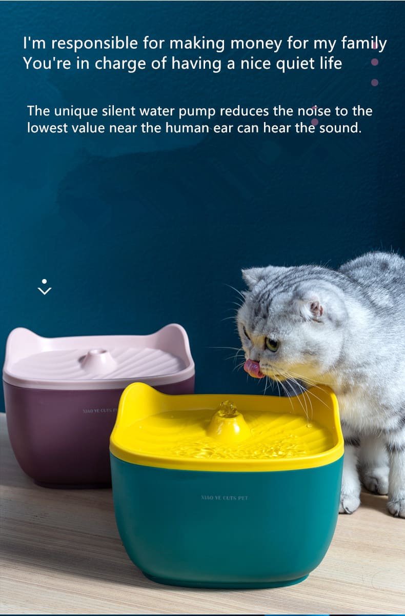 Pet Water Fountain Caso Machinery 14 790x1201