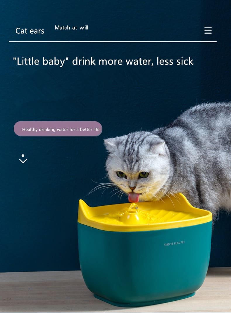 Pet Water Fountain Caso Machinery 2 790x1067