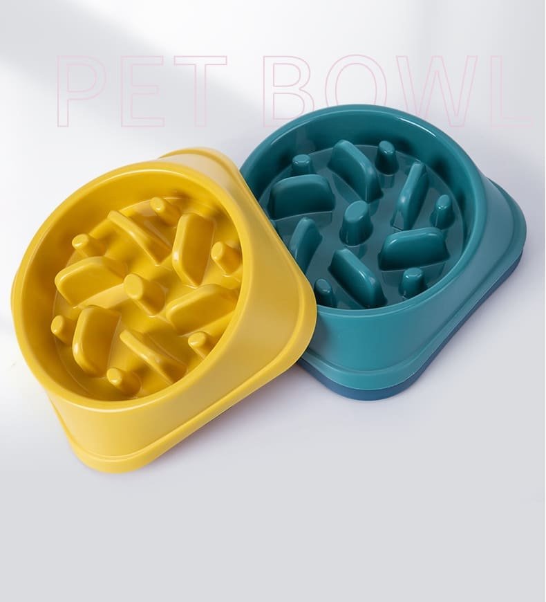 Slow Food Pet Bowl Caso Machinery 4 790x870