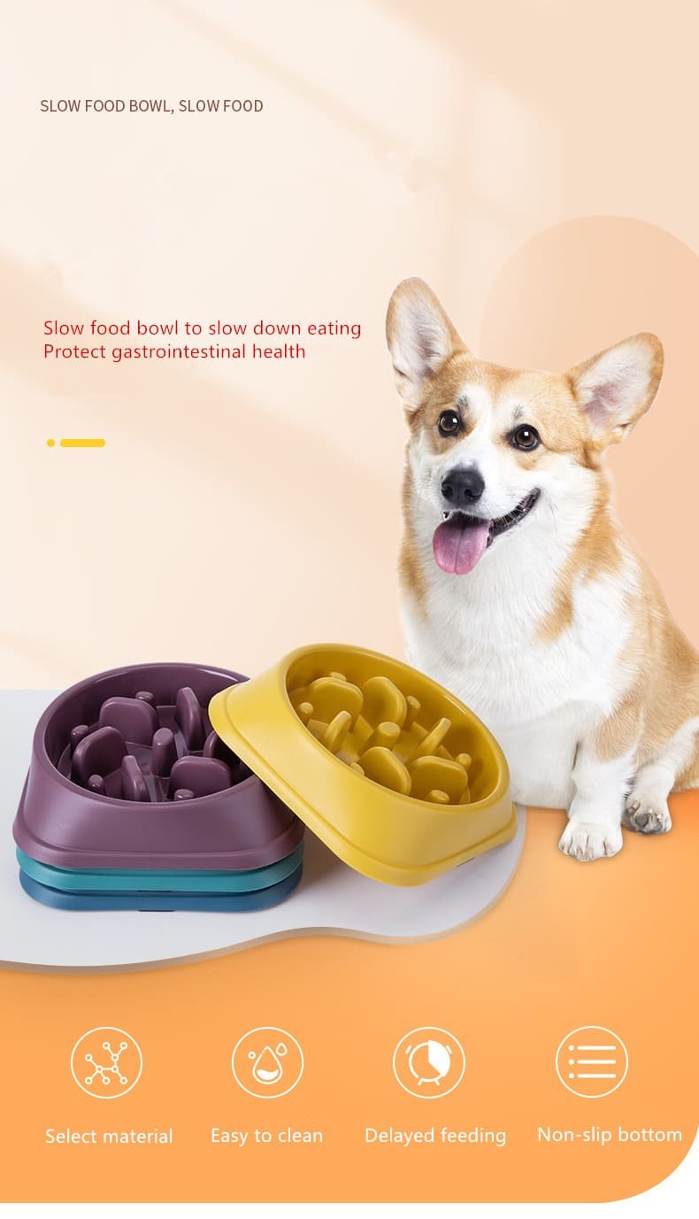 Slow Food Pet Bowl Caso Machinery 62 790x1377