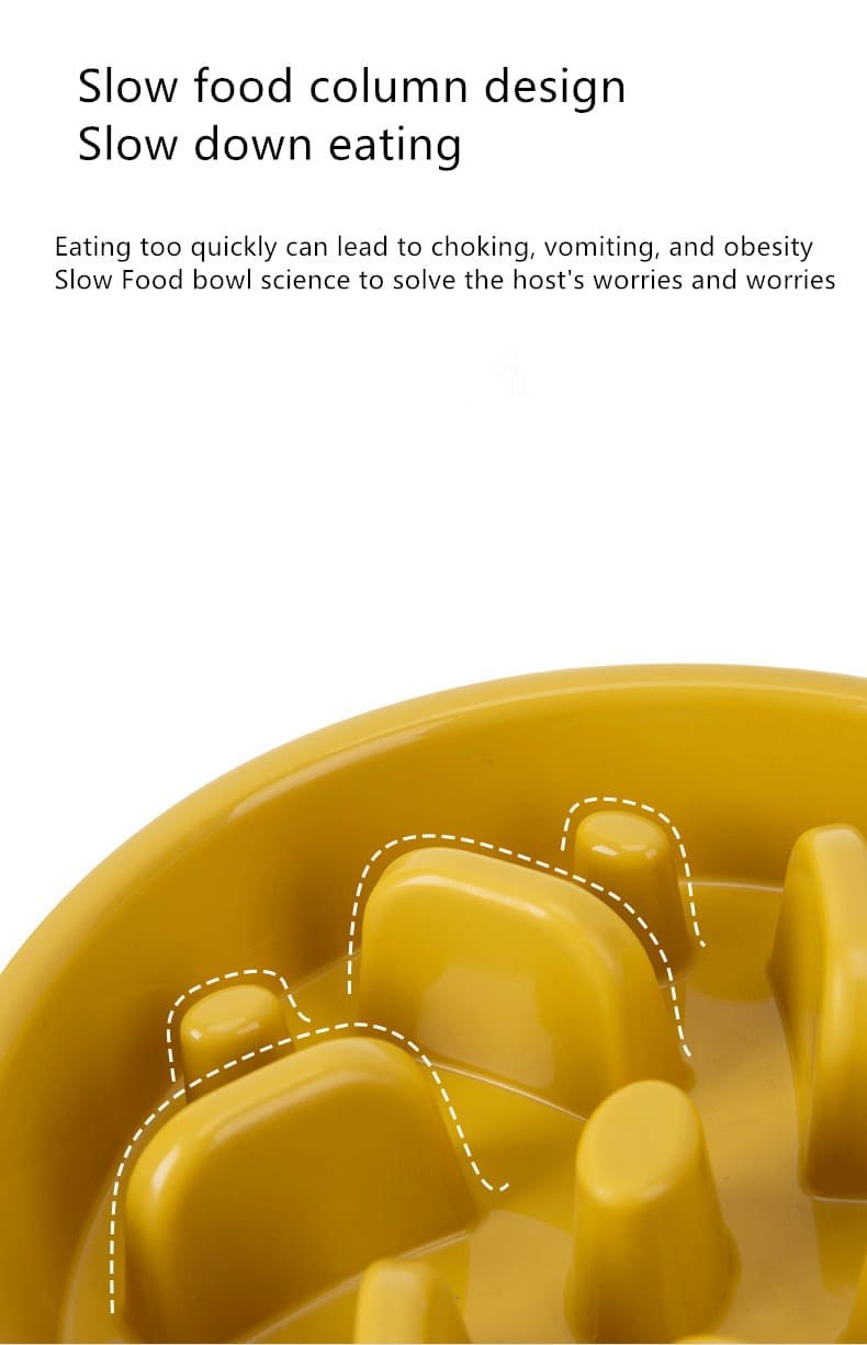 Slow Food Pet Bowl Caso Machinery 63 790x1226