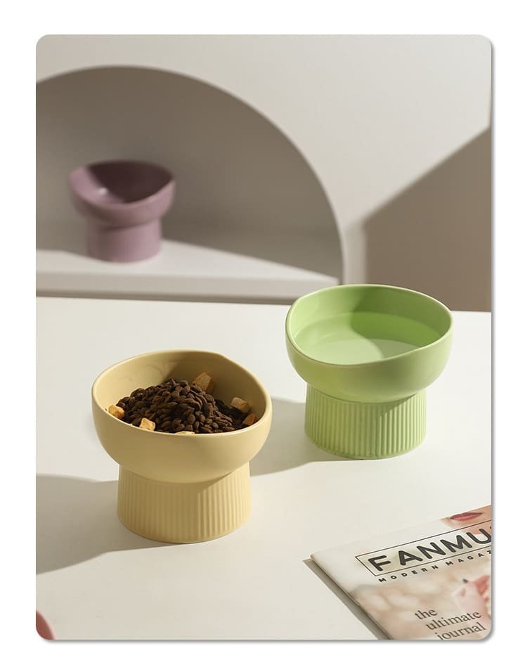Protecting Spine Ceramic Cat Food Water Feeder 17 Cat Food Water Feeder Caso Machinery 11 750x976