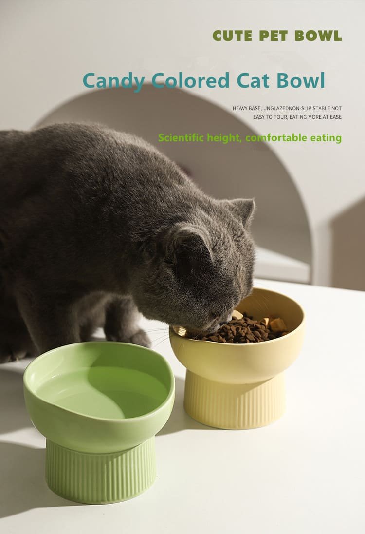 Protecting Spine Ceramic Cat Food Water Feeder 7 Cat Food Water Feeder Caso Machinery 1 750x1096
