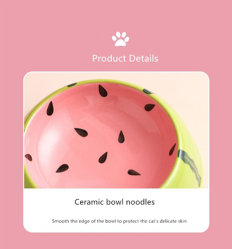 Stress Free Fruit Shaped Ceramic Dog Feed Bowl 25 Dog Feed Bowl Caso Machinery 14 750x847
