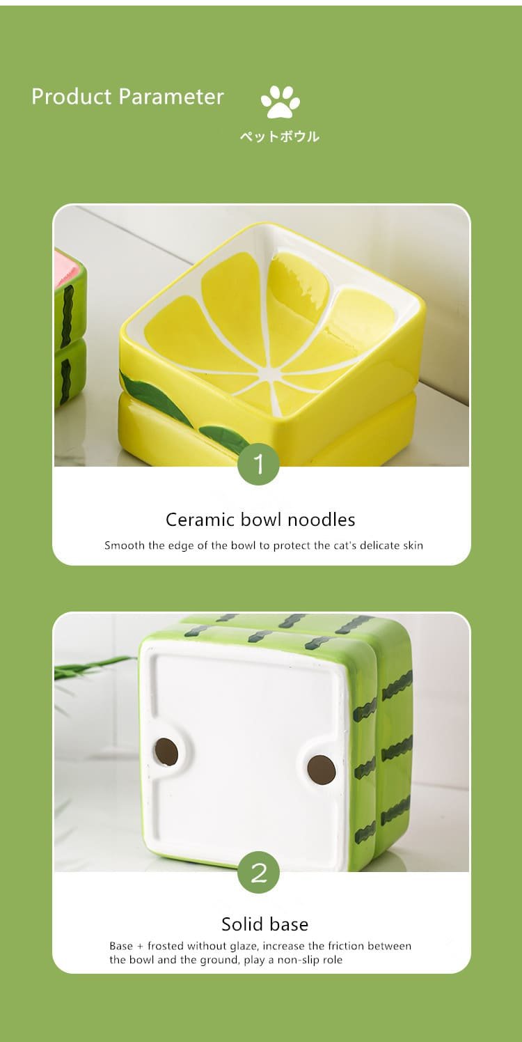 Stress Free Fruit Shaped Ceramic Dog Feed Bowl 27 Dog Feed Bowl Caso Machinery 16 750x1496