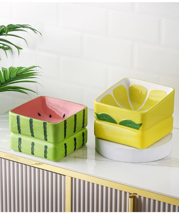 Stress Free Fruit Shaped Ceramic Dog Feed Bowl 16 Dog Feed Bowl Caso Machinery 5 750x937