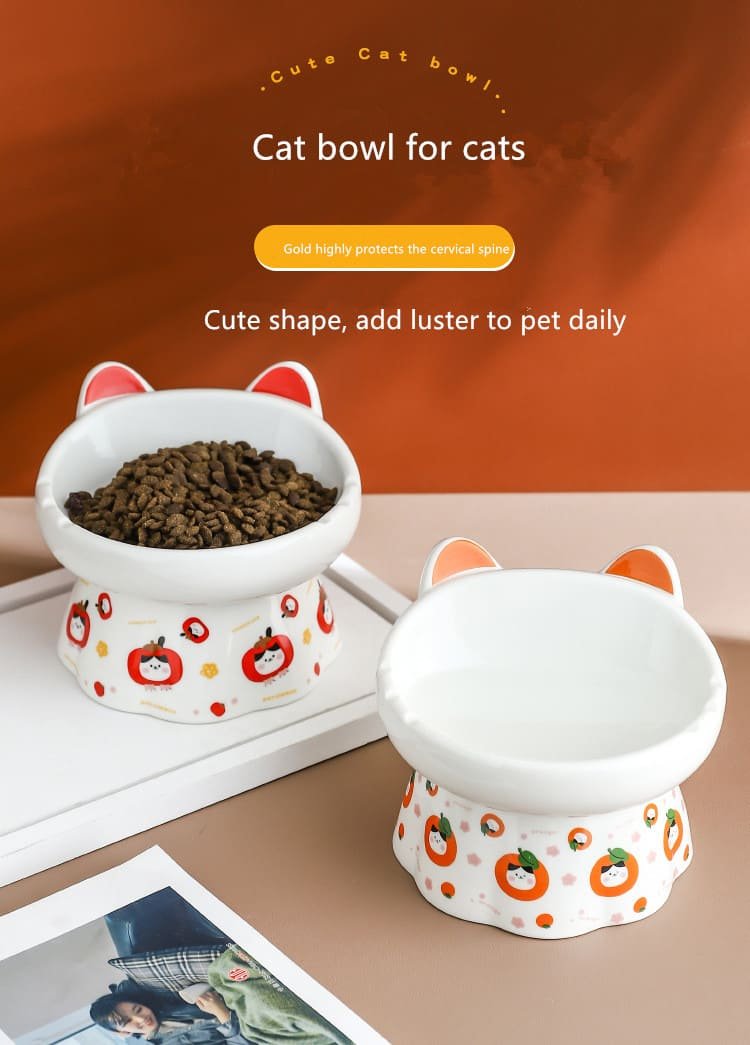 Raised Tilted Dog Food Water Feeder 8 Dog Food Water Feeder Caso Machinery 1 750x1045