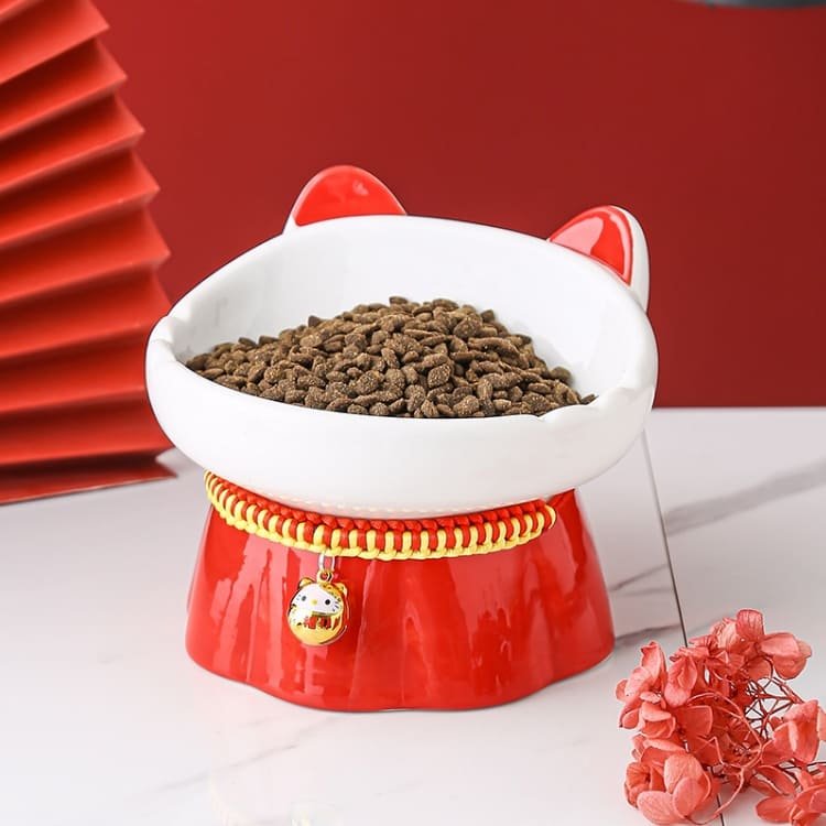 Raised Tilted Dog Food Water Feeder 27 Dog Food Water Feeder Caso Machinery 20 750x750