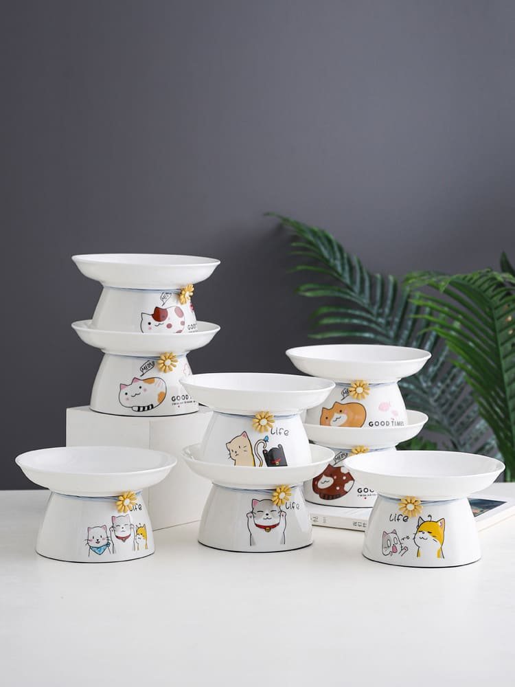 Pet Feeder Bowl Caso Machinery 1 750x1000