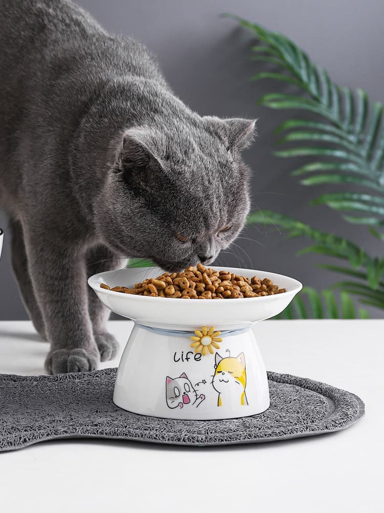 Pet Feeder Bowl Caso Machinery 8 750x1000