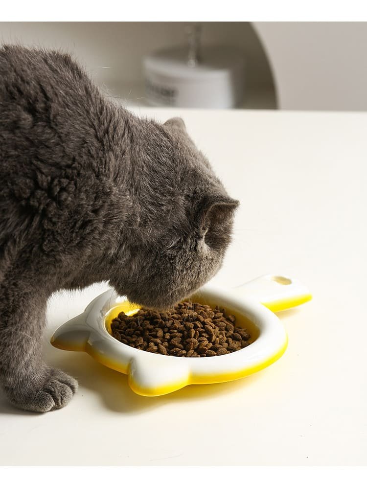 Colorful Ceramic Pet Snack Bowl 19 Pet Snack Bowl Caso Machinery 10 790x979