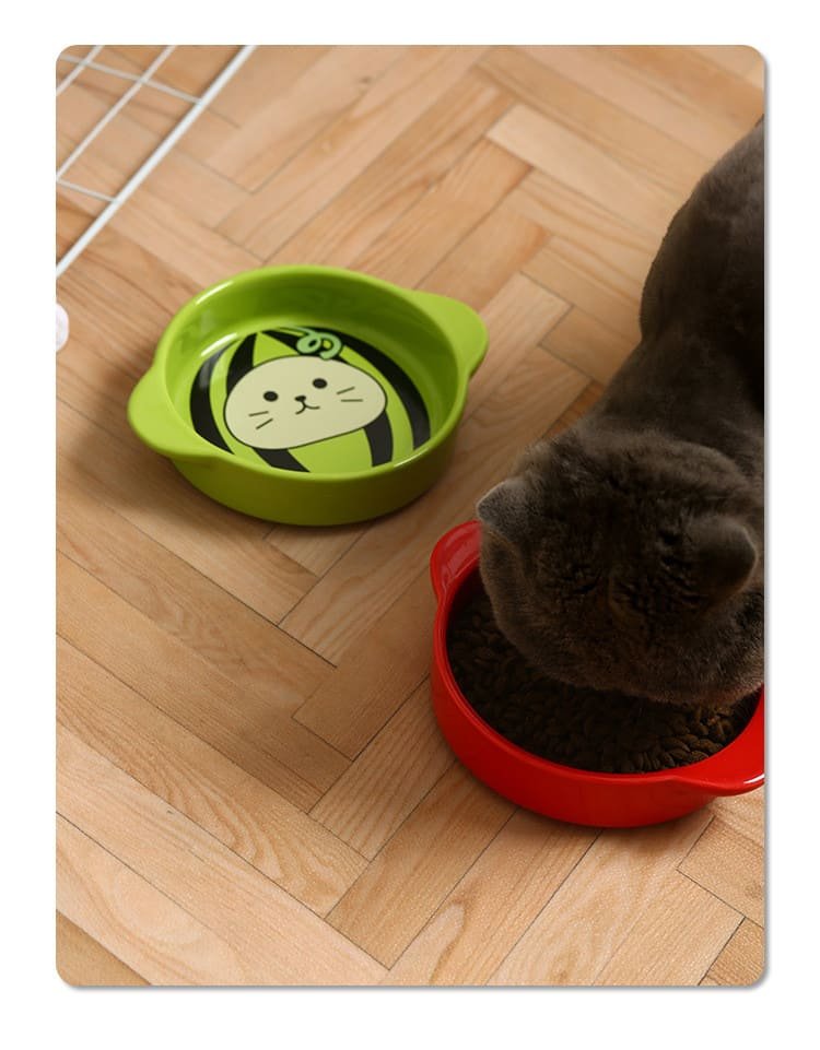 Pet Supplies Non Slip Ceramic Shallow Cat Dish 15 Shallow Cat Dish Caso Machinery 11 750x961