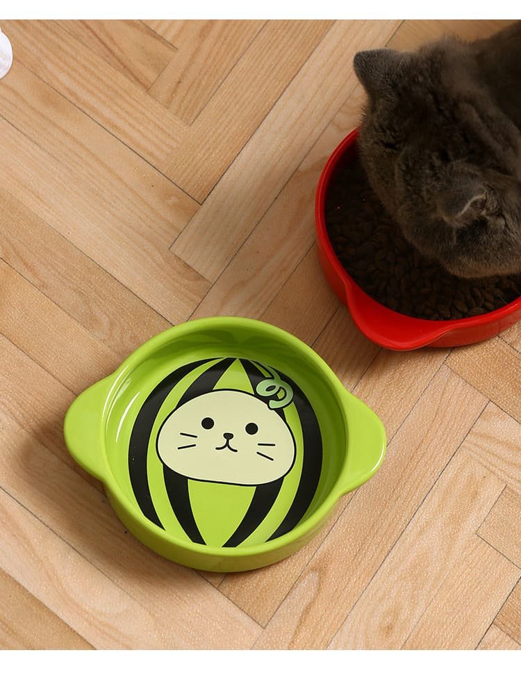 Pet Supplies Non Slip Ceramic Shallow Cat Dish 8 Shallow Cat Dish Caso Machinery 4 750x978