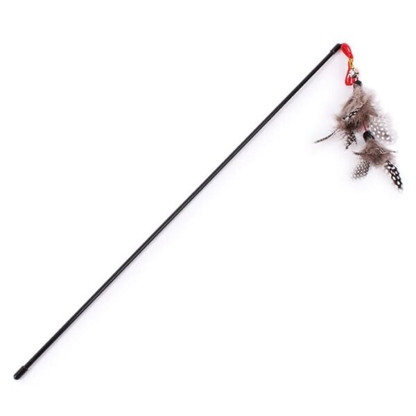 Cat Exercise Training Toy Caso Machinery 1 700x700