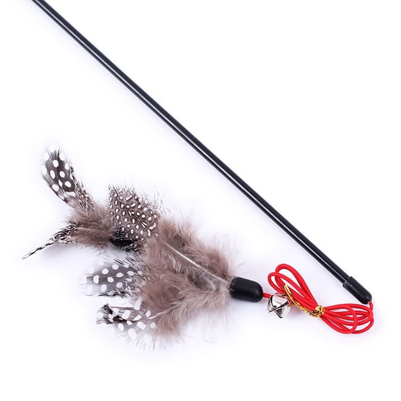 Stimulate Kitten Play Cat Exercise Training Toy 4 Cat Exercise Training Toy Caso Machinery 4 790x790
