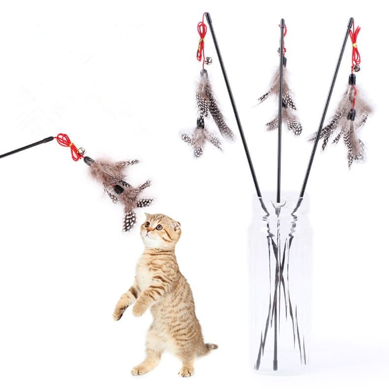 Stimulate Kitten Play Cat Exercise Training Toy 2 Cat Exercise Training Toy Caso Machinery 5 790x790