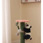 Perfect Panda Ca...