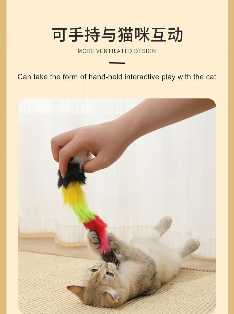 Kitten Toy Caso Machinery 7 790x1059