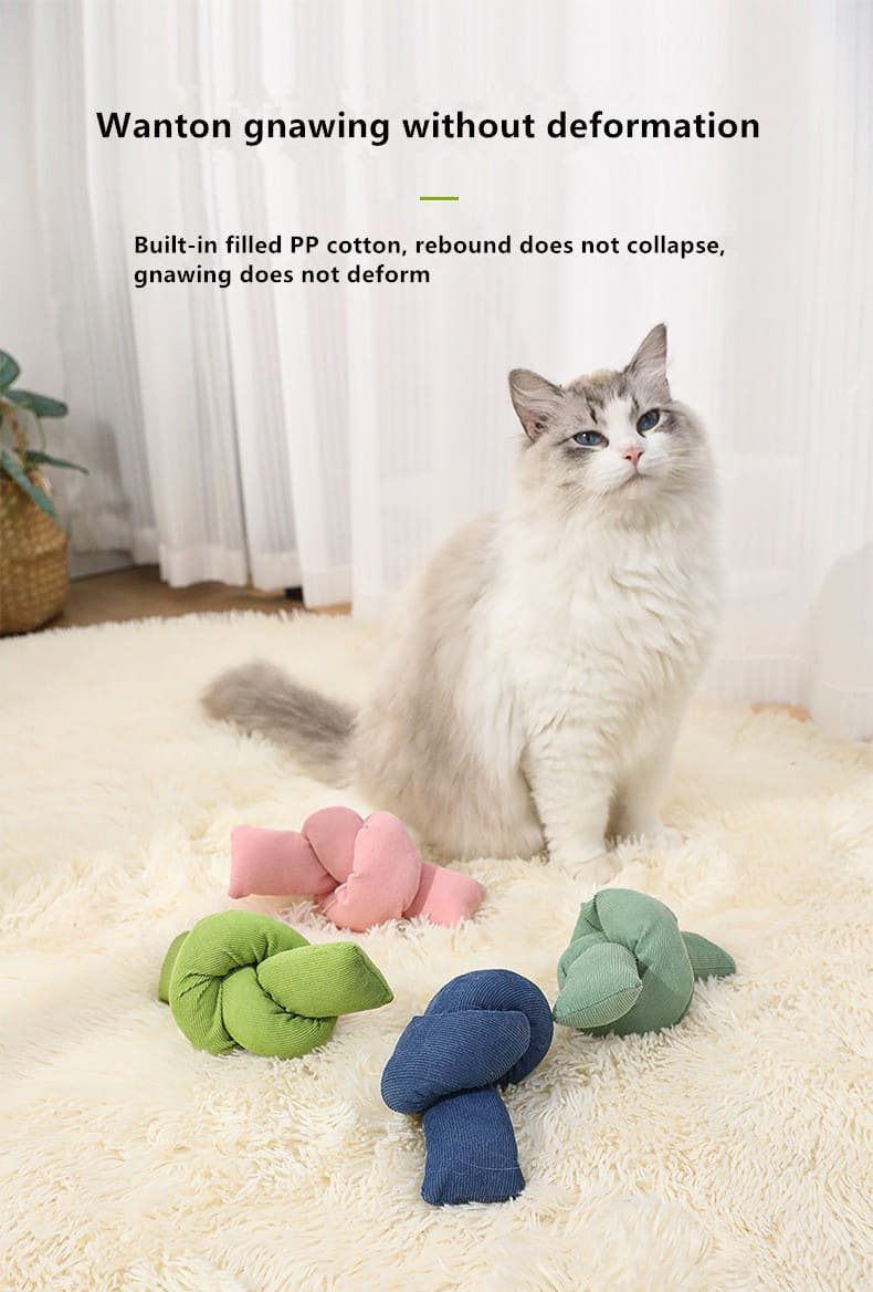 Colourful Indoor Relieve Tension Cat Catnip Toys 9 Cat Catnip Toys Caso Machinery 11 790x1168