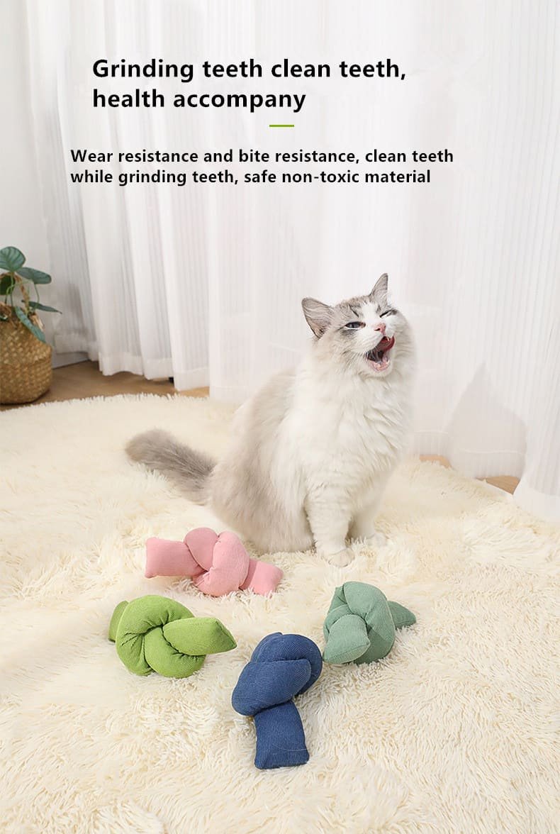 Colourful Indoor Relieve Tension Cat Catnip Toys 10 Cat Catnip Toys Caso Machinery 12 790x1176