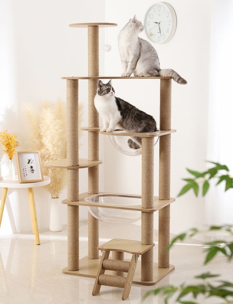 Multi Level Wood Activity Cat Climbing Frame 12 Cat Climbing Frame Caso Machinery 10 790x1030