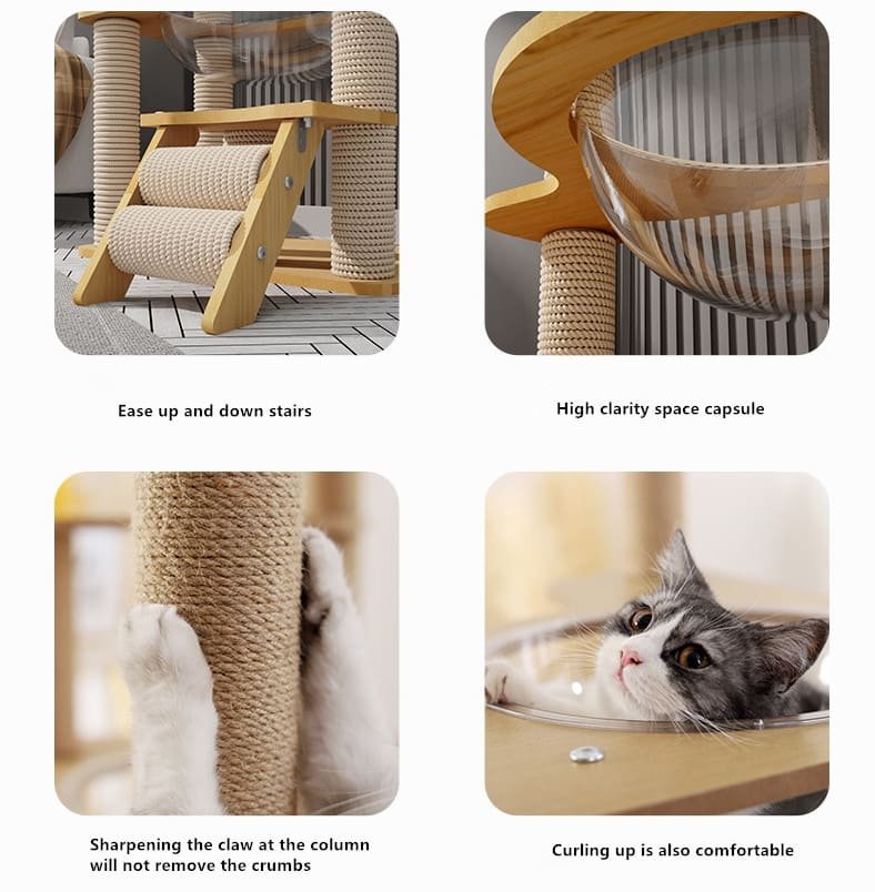 Multi Level Wood Activity Cat Climbing Frame 10 Cat Climbing Frame Caso Machinery 8 788x804