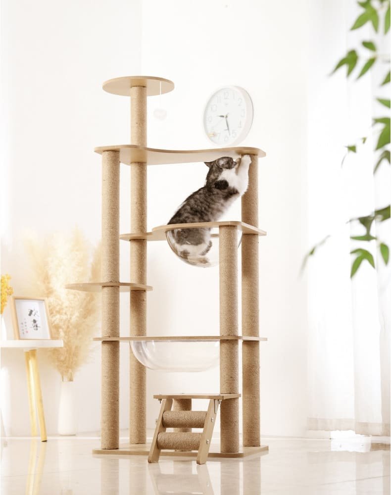 Multi Level Wood Activity Cat Climbing Frame 11 Cat Climbing Frame Caso Machinery 9 790x1000