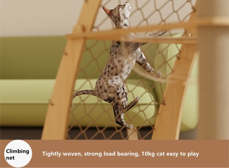 Cat Cratching Post Caso Machinery 10 790x581