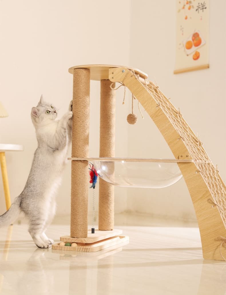 Cat Cratching Post Caso Machinery 16 790x1030