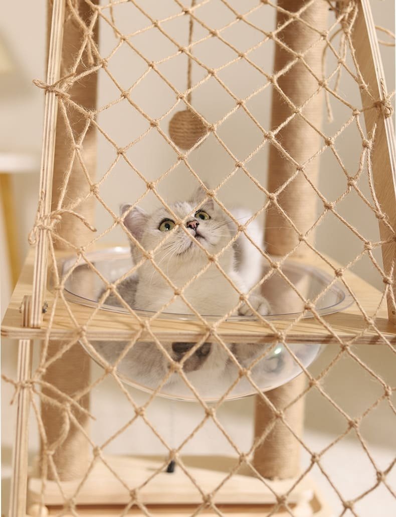 Cat Cratching Post Caso Machinery 17 790x1030