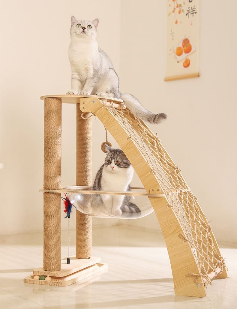 Cat Cratching Post Caso Machinery 18 790x1030