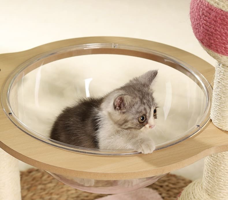 Portable Sisal Cats Scratch Board Fashion Cat House 6 Cats Scratch Board Caso Machinery 5 790x692