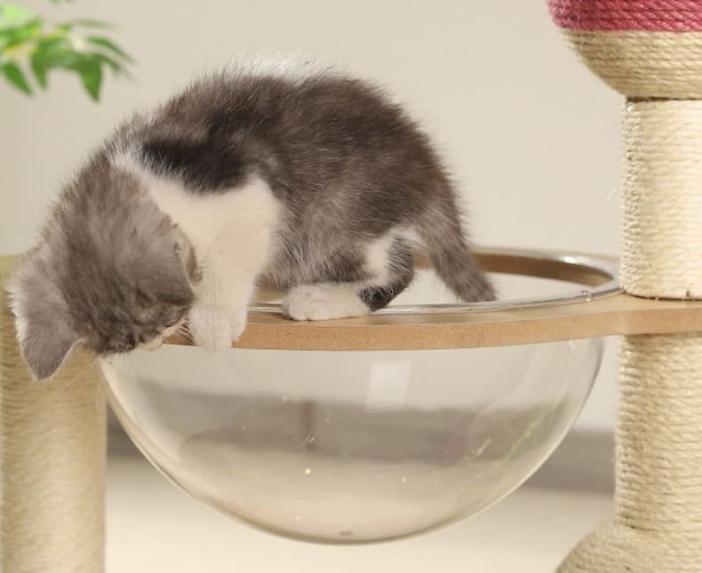 Portable Sisal Cats Scratch Board Fashion Cat House 7 Cats Scratch Board Caso Machinery 6 790x645
