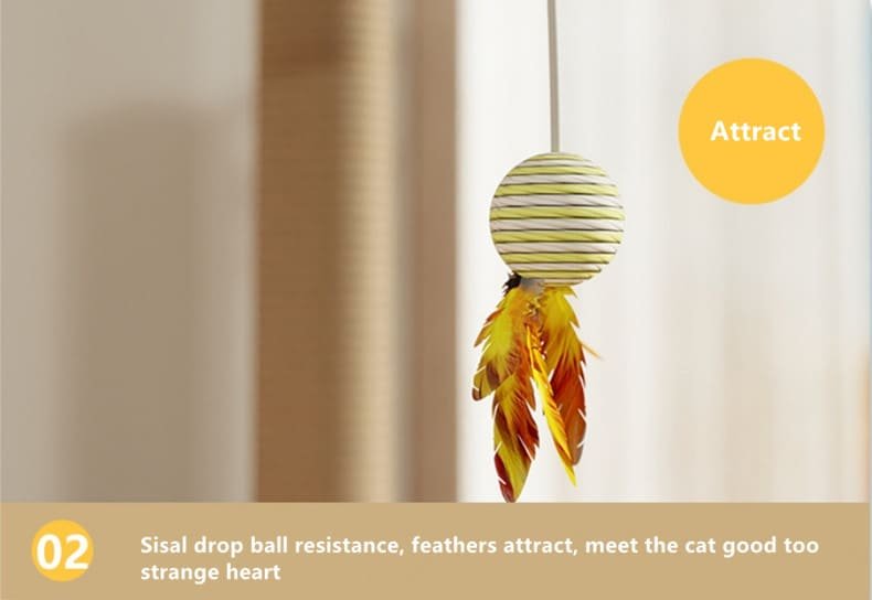 Kitten Interactive Scratcher Caso Machinery 11 790x544